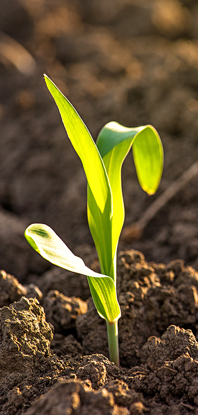 lemars-agri-center-crop-nutrients