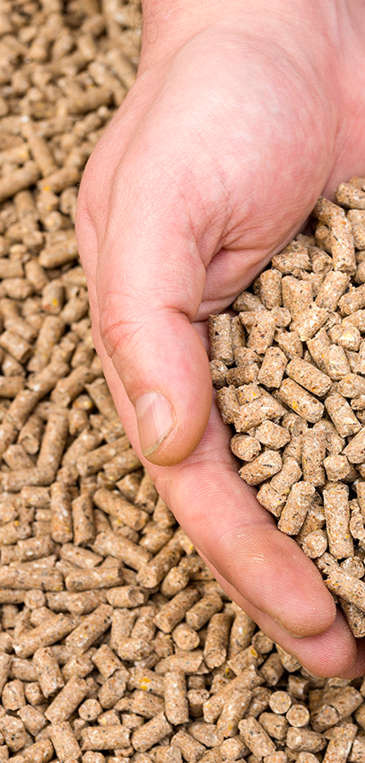 lemars-agri-center-feed-animals-pellets-IA feed pellets